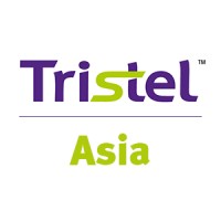 Tristel Anistel High Level Surface Disinfectant 